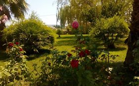Il Giardino Delle Rose A